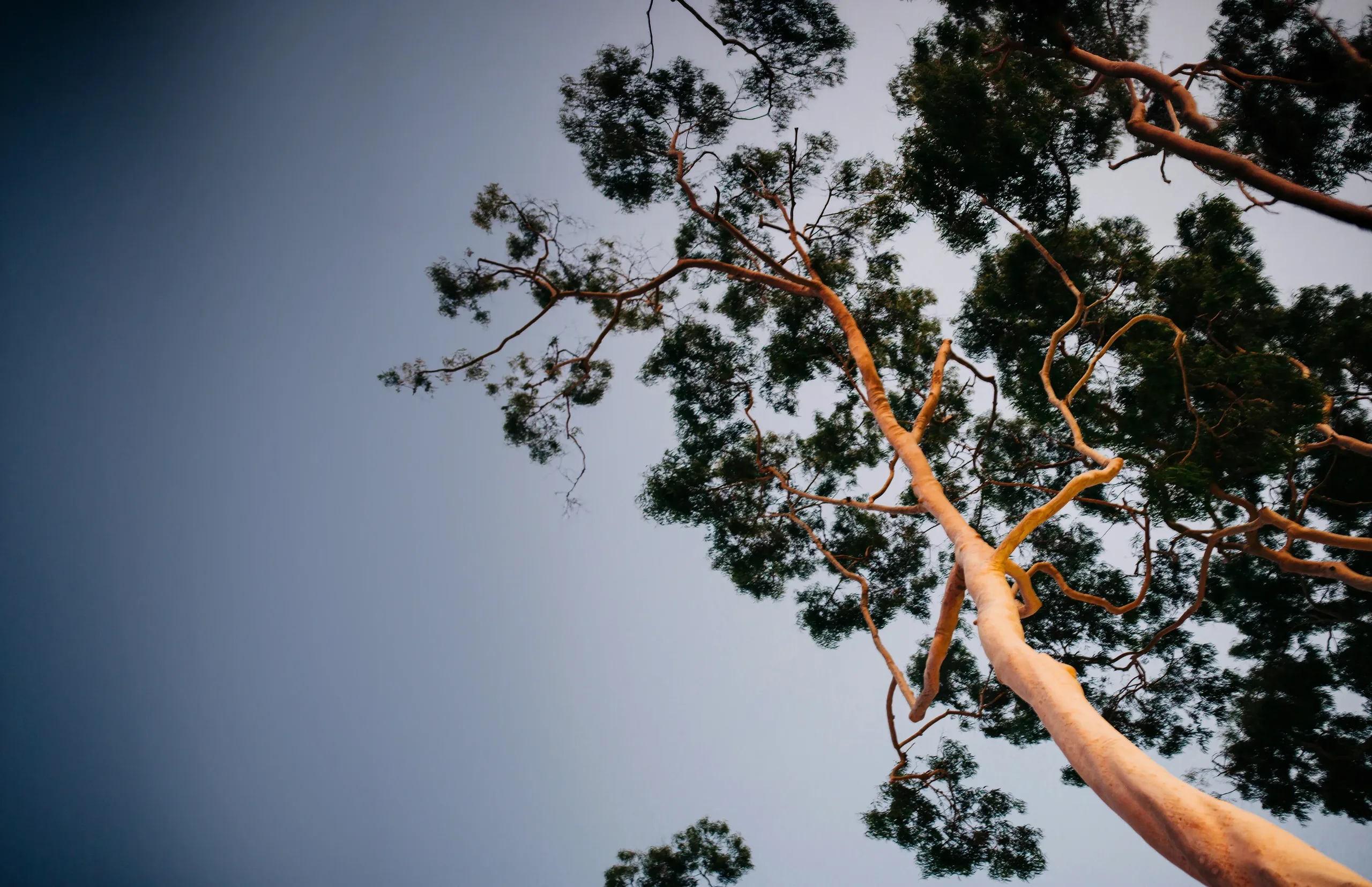 Oldfield station hero
