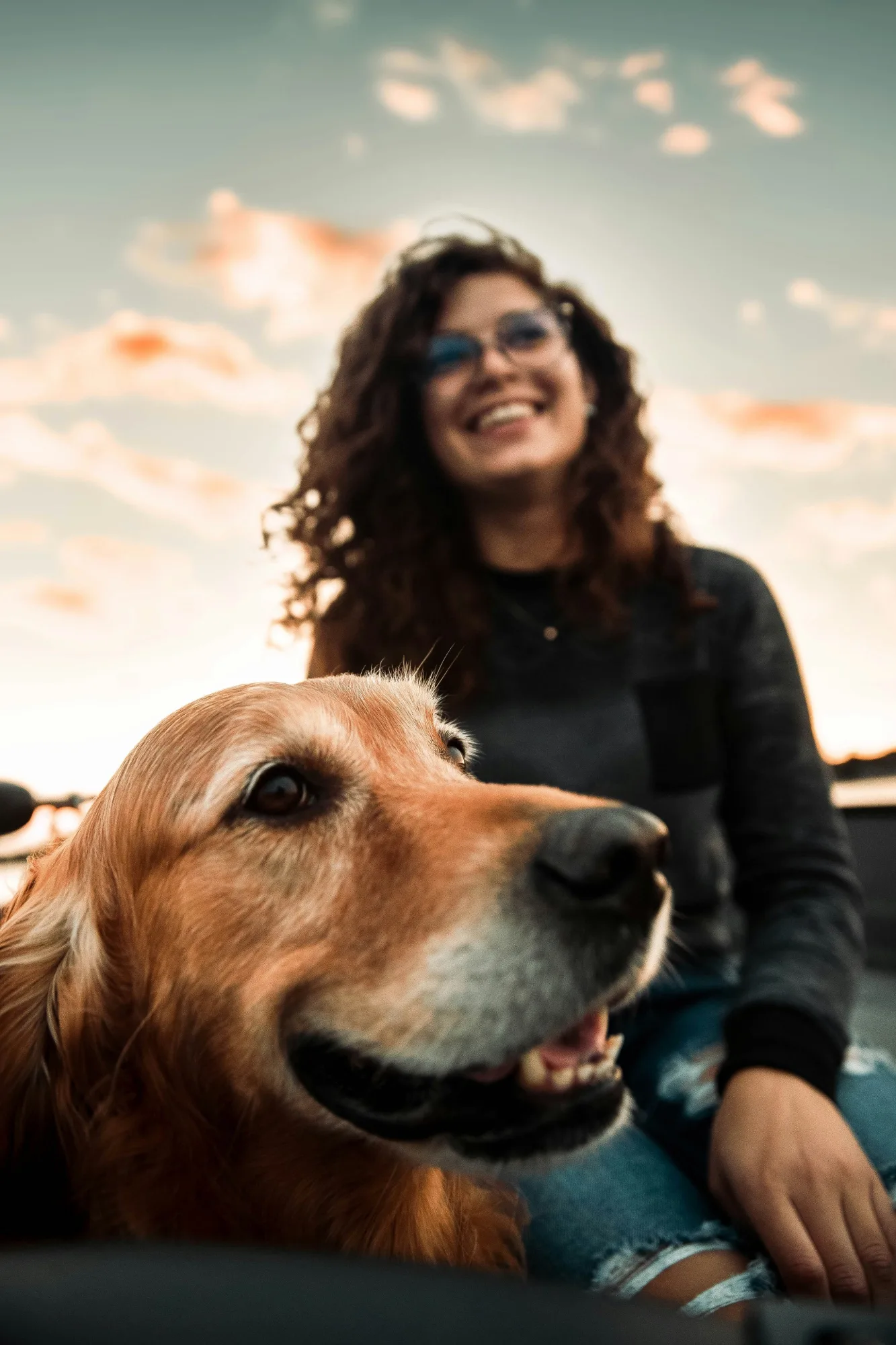 Oldfield station carousel image 14