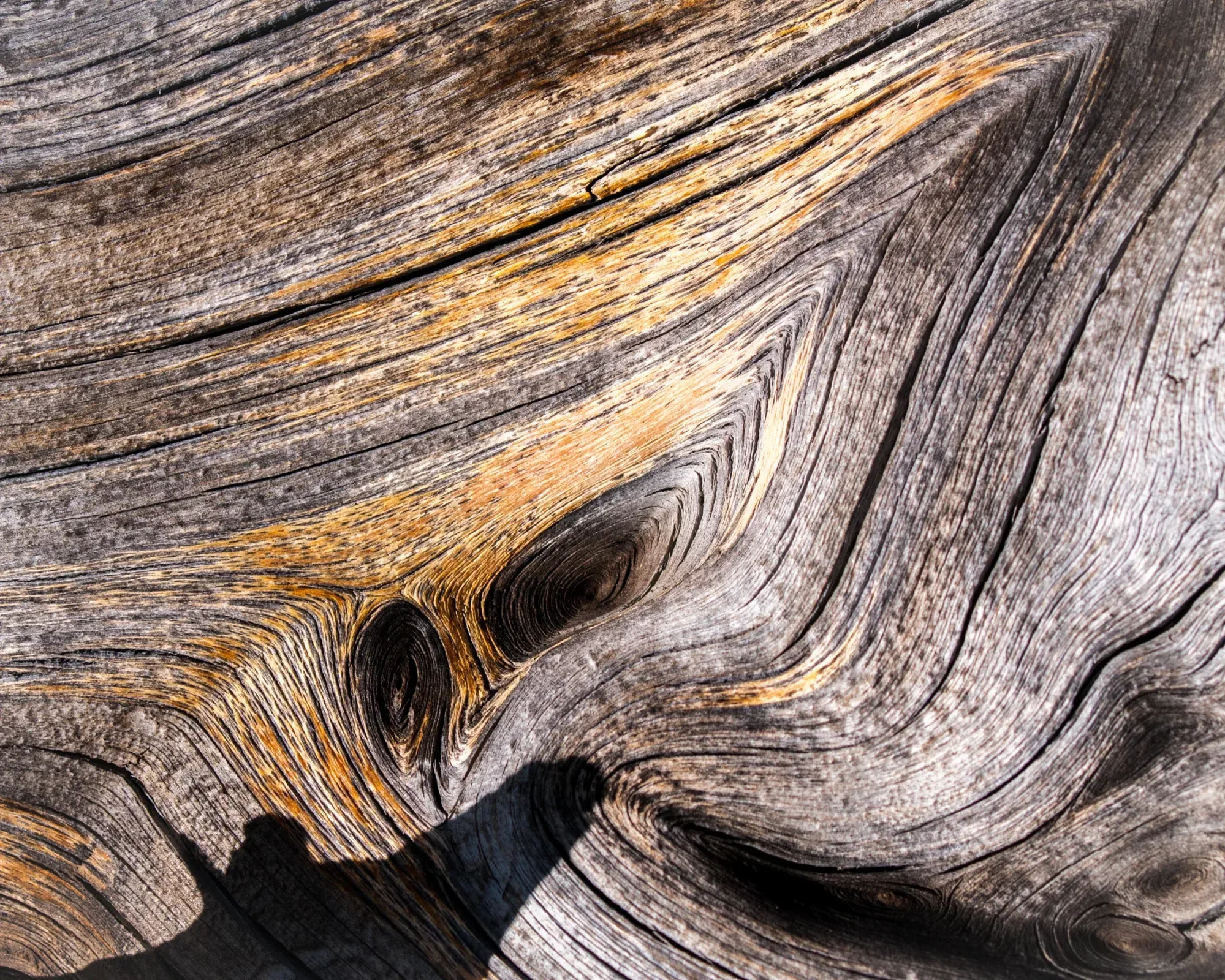 Oldfield station carousel image 7